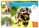 Hurra! Wir gehen Gassi! Abenteuer mit dem Hund! (Tischkalender 2024 DIN A5 quer), CALVENDO Monatskalender