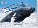 The Journey of Humpback Whales