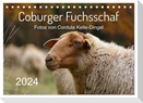 Coburger Fuchsschaf (Tischkalender 2024 DIN A5 quer), CALVENDO Monatskalender