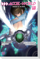 Accel World, Vol. 28 (Light Novel)