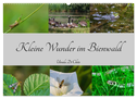 Kleine Wunder im Bienwald (Wandkalender 2024 DIN A2 quer), CALVENDO Monatskalender