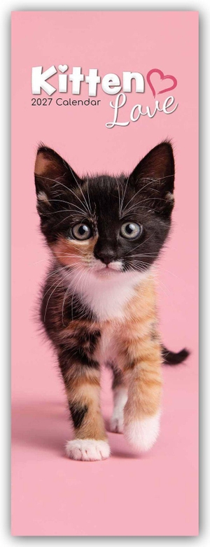 Gifted Stationery Co. Ltd. Kitten Love - Geliebte Kätzchen - Slimline-Kalender 2027 - Original Gifted Stationery Kalender - Slimline [Mehrsprachig] [Kalender]. Browntrout Verlags GmbH, 2026.