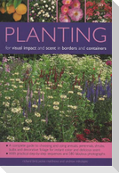 Planting for Visual Impact and Scent in Borders and Containers