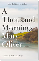 A Thousand Mornings