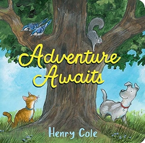 Cole, Henry. Adventure Awaits. Little Simon, 2022.