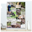 Australiens faszinierende Tierwelt (hochwertiger Premium Wandkalender 2025 DIN A2 hoch), Kunstdruck in Hochglanz