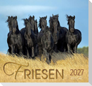 Friesen 2027