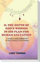O, THE DEPTH OF GOD'S WISDOM IN HIS PLAN FOR HUMAN SALVATION!