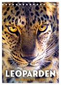 Leoparden - Die Beute im Visier. (Tischkalender 2024 DIN A5 hoch), CALVENDO Monatskalender