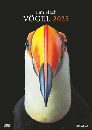 DUMONT Kalender (Hrsg.). Tim Flach: Vögel 2025 - Posterkalender von DUMONT- Vogel-Porträts von Tim Flach - Poster-Format 50 x 70 cm. Neumann Verlage GmbH & Co, 2024.
