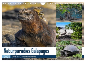 Photo4emotion. com, Photoemotion. com. Naturparadies Galapagos - UNESCO Weltkulturerbe (Wandkalender 2024 DIN A4 quer), CALVENDO Monatskalender - Die Galapagos Inseln - ein letztes Natur-Juwel, entdeckt von Charles Darwin im Jahr 1835 und heute UNESCO Weltkulturerbe.. Calvendo, 2023.