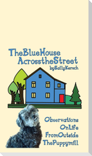 The Blue House Across the Street