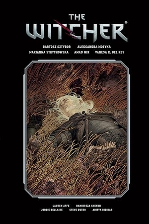 Sztybor, Bartosz. The Witcher Library Edition Volume 2. Turnaround Pub. Serv. Ltd, 2022.