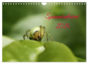 Spinnentiere 2024 (Wandkalender 2024 DIN A4 quer), CALVENDO Monatskalender