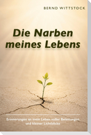 Die Narben meines Lebens