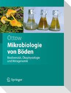Mikrobiologie von Böden