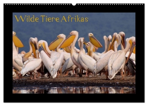 Depner, Uta. Wilde Tiere Afrikas (Wandkalender 2024 DIN A2 quer), CALVENDO Monatskalender - Wildtiere Afrikas hautnah erleben. Calvendo Verlag, 2023.