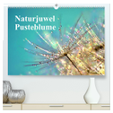 Naturjuwel Pusteblume (hochwertiger Premium Wandkalender 2024 DIN A2 quer), Kunstdruck in Hochglanz