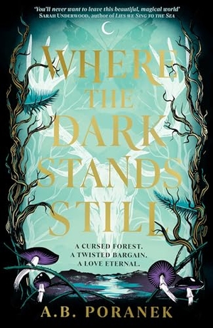Poranek, A. B.. Where the Dark Stands Still. DK, 2024.