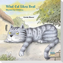 What Cat Likes Best