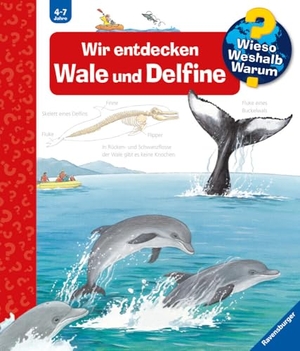 Rübel, Doris. Wieso? Weshalb? Warum?, Band 41: Wir entdecken Wale und Delfine. Ravensburger Verlag, 2007.
