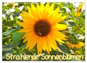 Sigwarth, Karin. Strahlende Sonnenblumen / CH - Version (Wandkalender 2024 DIN A3 quer), CALVENDO Monatskalender - Strahlende Sonnenblumen. Calvendo Verlag, 2023.