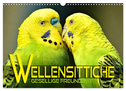 Wellensittiche - gesellige Freunde (Wandkalender 2024 DIN A3 quer), CALVENDO Monatskalender