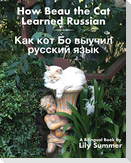 How Beau the Cat Learned Russian