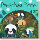 Peekaboo Planet