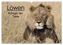 Löwen - Könige der Tiere (Wandkalender 2025 DIN A3 quer), CALVENDO Monatskalender