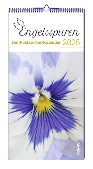 Engelsspuren 2025 - Der Postkarten-Kalender. St. Benno Verlag GmbH, 2024.
