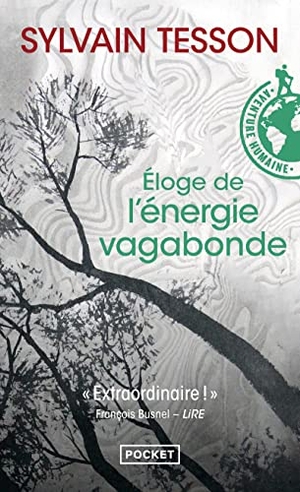 Tesson, Sylvain. Eloge de l'énergie vagabonde. Pocket, 2009.