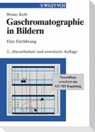 Gaschromatographie in Bildern