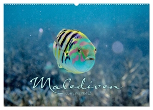 Rodriguez Photography, Clave. Unterwasserwelt der Malediven II (Wandkalender 2024 DIN A2 quer), CALVENDO Monatskalender - Die vielfältige und faszinierende Unterwasserwelt der Malediven.. Calvendo Verlag, 2023.