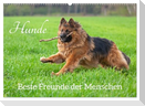 Hunde - Beste Freunde der Menschen (Wandkalender 2025 DIN A2 quer), CALVENDO Monatskalender