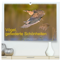 Vögel, Gefiederte Schönheiten (hochwertiger Premium Wandkalender 2025 DIN A2 quer), Kunstdruck in Hochglanz