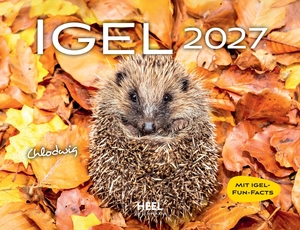 Igel 2027 Eintragkalender - 12 süße Aufnahmen der stacheligen Gesellen - mit witzigen Namen. Edition Lempertz, 2026.