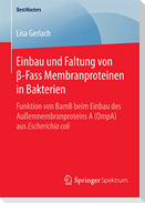 Einbau und Faltung von ¿-Fass Membranproteinen in Bakterien
