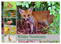 Wilder Nordosten - Aug in Aug mit Tieren der Ostseeregion (Wandkalender 2025 DIN A2 quer), CALVENDO Monatskalender