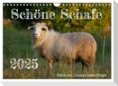 Schöne Schafe (Wandkalender 2025 DIN A4 quer), CALVENDO Monatskalender