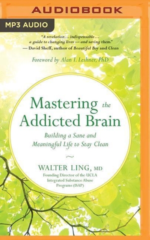 Ling, Walter. Mastering the Addicted Brain: Building a Sane and Meaningful Life to Stay Clean. Brilliance Audio, 2018.