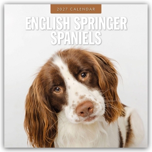 Red, Robin. English Springer Spaniels - Englisch Springer Spaniels 2027 - 16-Monatskalender - Original Red Robin Publishing Ltd-Kalender [Mehrsprachig] [Kalender]. Browntrout Verlags GmbH, 2026.