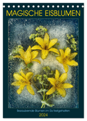 Magische Eisblumen (Tischkalender 2024 DIN A5 hoch), CALVENDO Monatskalender