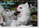Husky Welpen (Tischkalender 2022 DIN A5 quer)