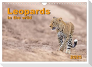 Leopards in the wild (Wall Calendar 2025 DIN A4 landscape), CALVENDO 12 Month Wall Calendar