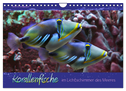 Korallenfische im Lichtschimmer des Meeres (Wandkalender 2024 DIN A4 quer), CALVENDO Monatskalender