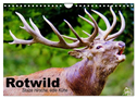 Rotwild. Edle Hirsche, stolze Kühe (Wandkalender 2024 DIN A4 quer), CALVENDO Monatskalender