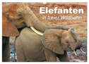 Elefanten in freier Wildbahn (Wandkalender 2024 DIN A3 quer), CALVENDO Monatskalender