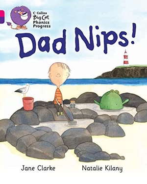 Clarke, Jane. BIG CAT PHONICS_DAD NIPS - Band 01A Pink A/Band 08 Purple. Harper Collins Publishers - UK Wholesale Acct, 2013.