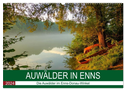 Auwälder bei Enns (Wandkalender 2024 DIN A2 quer), CALVENDO Monatskalender